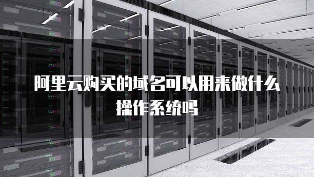 阿里云购买的域名可以用来做什么操作系统吗