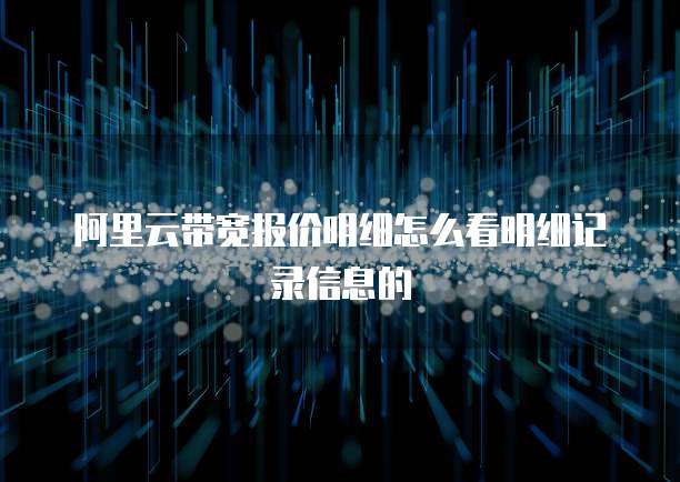 阿里云带宽报价明细怎么看明细记录信息的