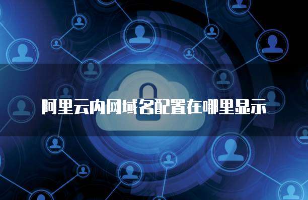 阿里云内网域名配置在哪里显示