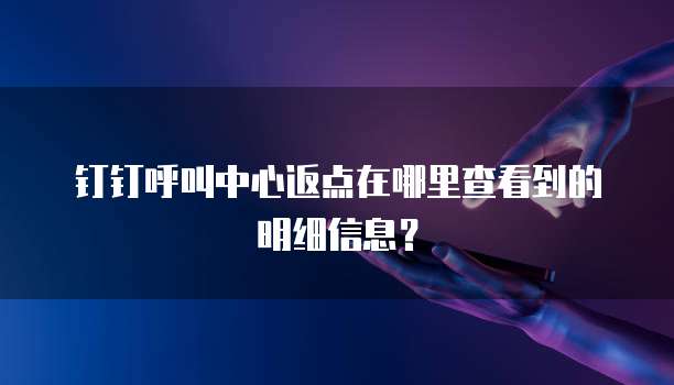 钉钉呼叫中心返点在哪里查看到的明细信息?