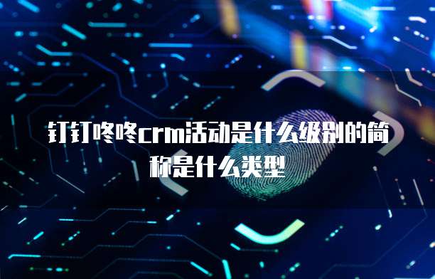 钉钉咚咚crm活动是什么级别的简称是什么类型