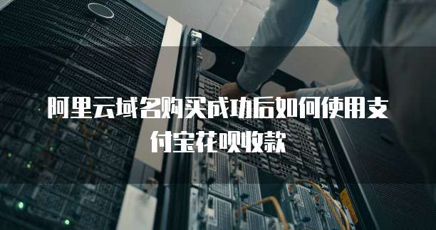 阿里云域名购买成功后如何使用支付宝花呗收款