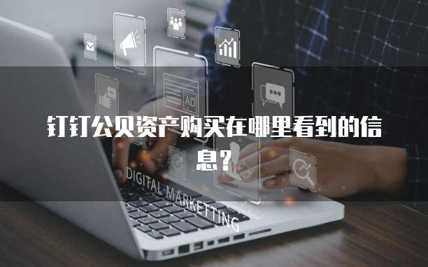 钉钉公贝资产购买在哪里看到的信息?