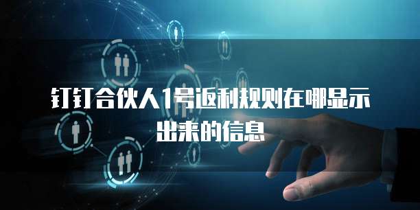 钉钉合伙人1号返利规则在哪显示出来的信息