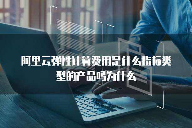 阿里云弹性计算费用是什么指标类型的产品吗为什么