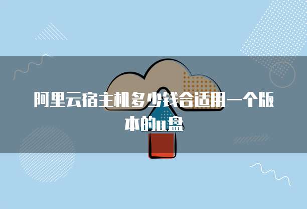 阿里云宿主机多少钱合适用一个版本的u盘