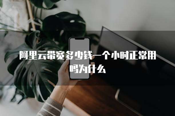 阿里云带宽多少钱一个小时正常用吗为什么