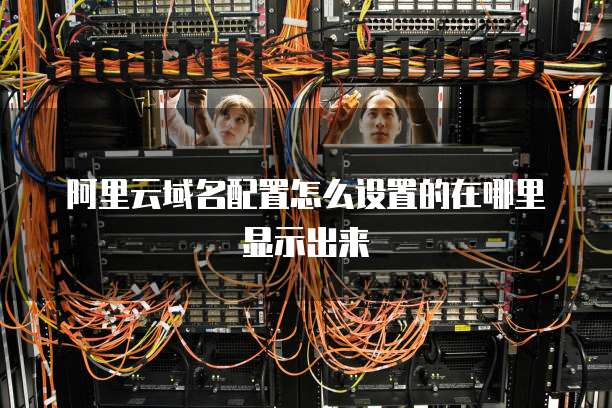 阿里云域名配置怎么设置的在哪里显示出来