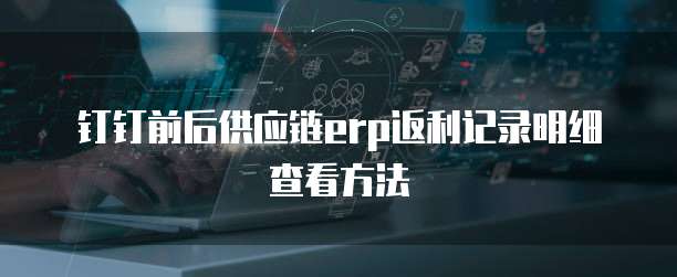 钉钉前后供应链erp返利记录明细查看方法