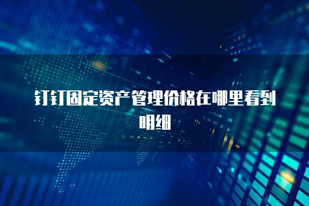 钉钉固定资产管理价格在哪里看到明细