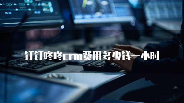 钉钉咚咚crm费用多少钱一小时