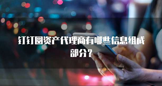 钉钉圆资产代理商有哪些信息组成部分?