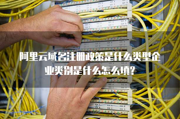 阿里云域名注册政策是什么类型企业类别是什么怎么填?