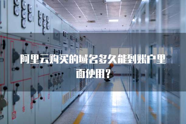 阿里云购买的域名多久能到账户里面使用？