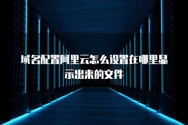 域名配置阿里云怎么设置在哪里显示出来的文件