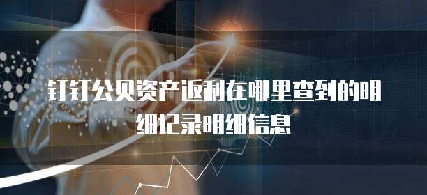 钉钉公贝资产返利在哪里查到的明细记录明细信息