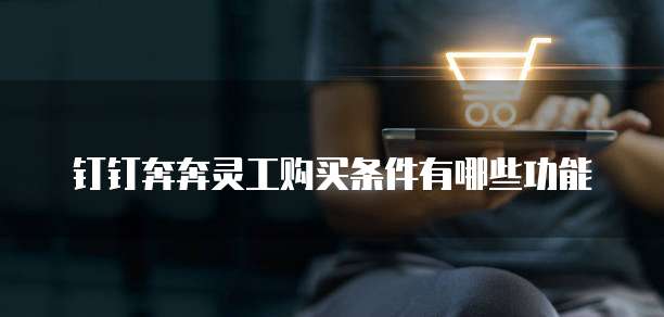 钉钉奔奔灵工购买条件有哪些功能