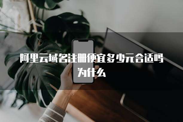 阿里云域名注册便宜多少元合适吗为什么