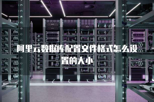 阿里云数据库配置文件格式怎么设置的大小