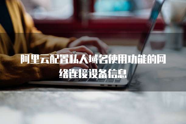 阿里云配置私人域名使用功能的网络连接设备信息