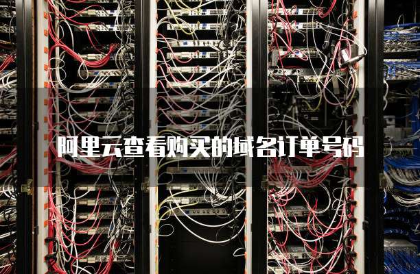 阿里云查看购买的域名订单号码