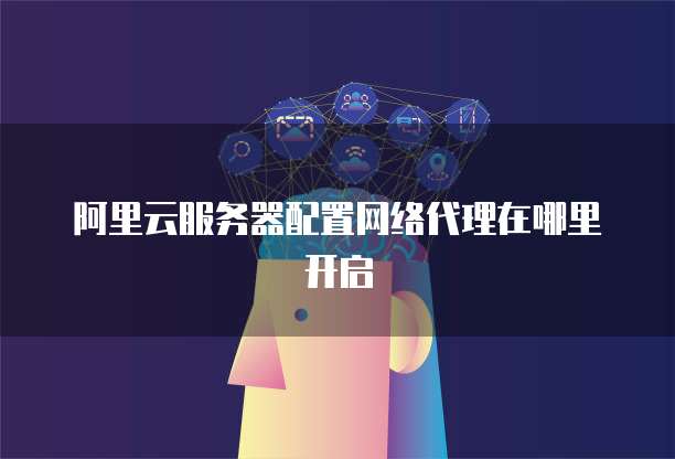 阿里云服务器配置网络代理在哪里开启