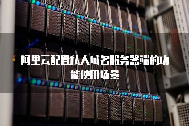 阿里云配置私人域名服务器端的功能使用场景