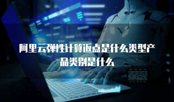 阿里云弹性计算返点是什么类型产品类别是什么