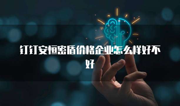 钉钉安恒密盾价格企业怎么样好不好
