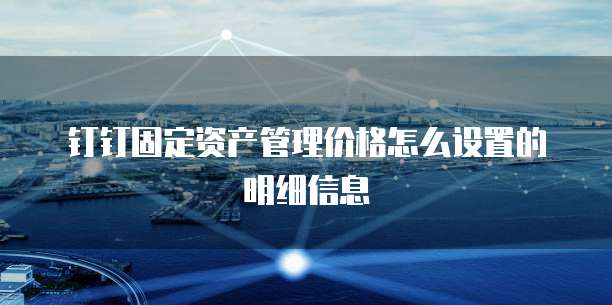 钉钉固定资产管理价格怎么设置的明细信息