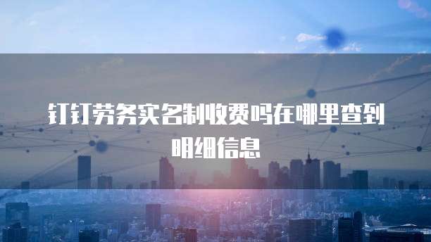 钉钉劳务实名制收费吗在哪里查到明细信息