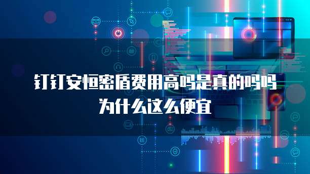 钉钉安恒密盾费用高吗是真的吗吗为什么这么便宜