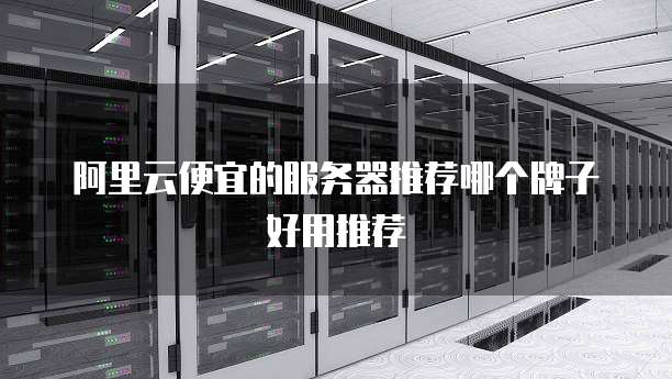 阿里云便宜的服务器推荐哪个牌子好用推荐
