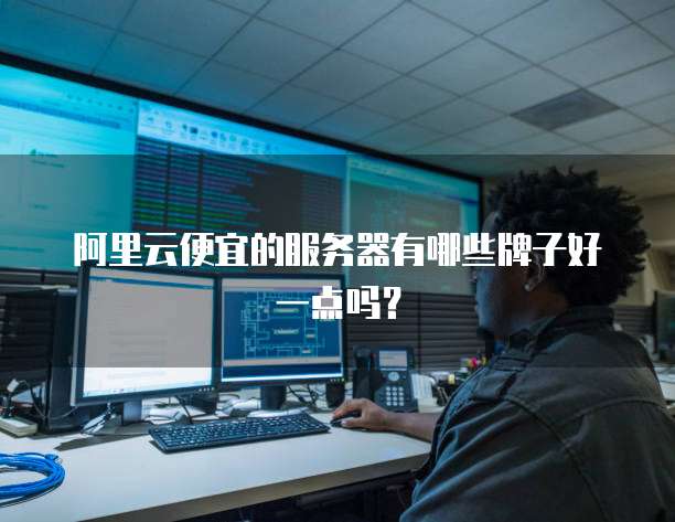 阿里云便宜的服务器有哪些牌子好一点吗?