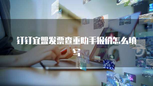 钉钉宜盟发票查重助手报价怎么填写