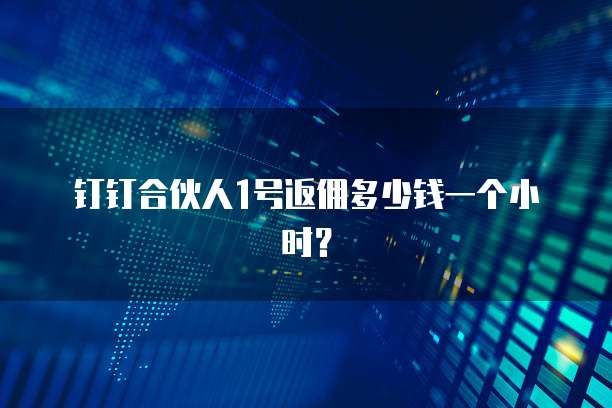 钉钉合伙人1号返佣多少钱一个小时?