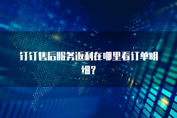 钉钉售后服务返利在哪里看订单明细?