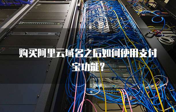 购买阿里云域名之后如何使用支付宝功能?