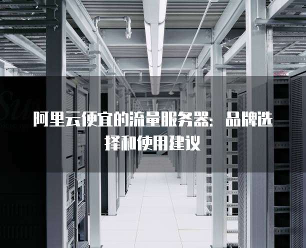 阿里云便宜的流量服务器:品牌选择和使用建议