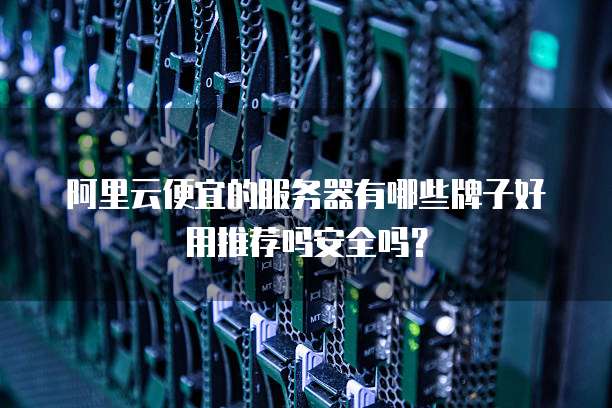 阿里云便宜的服务器有哪些牌子好用推荐吗安全吗?