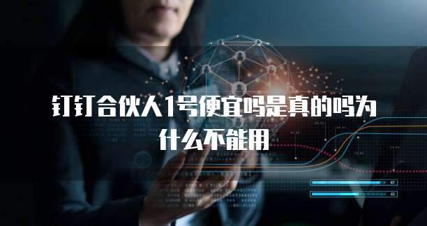 钉钉合伙人1号便宜吗是真的吗为什么不能用
