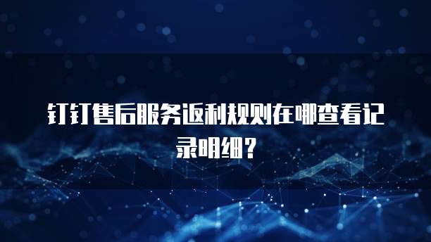 钉钉售后服务返利规则在哪查看记录明细?
