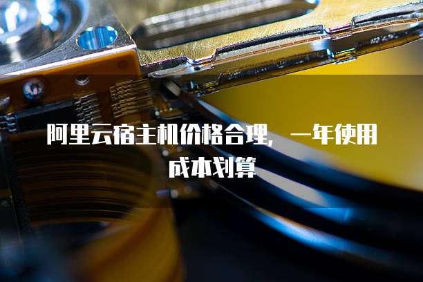 阿里云宿主机价格合理,一年使用成本划算