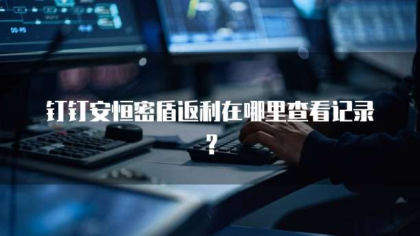 钉钉安恒密盾返利在哪里查看记录？