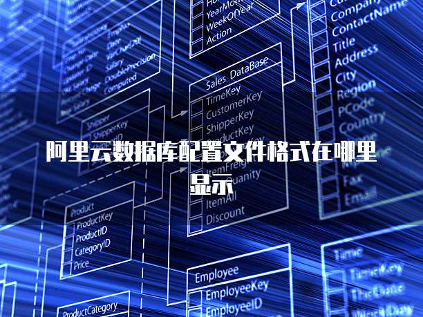 阿里云数据库配置文件格式在哪里显示