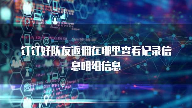 钉钉好队友返佣在哪里查看记录信息明细信息