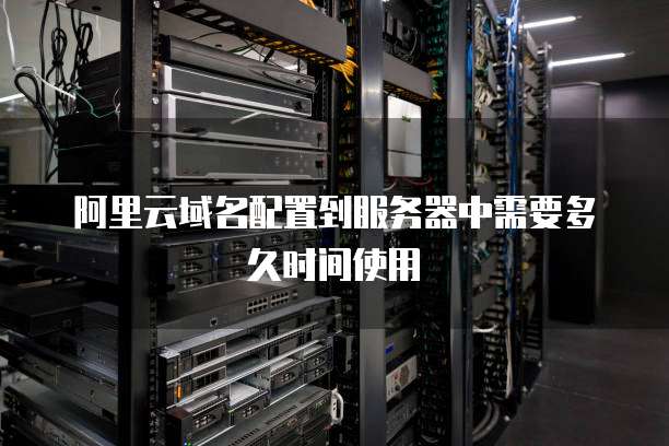 阿里云域名配置到服务器中需要多久时间使用