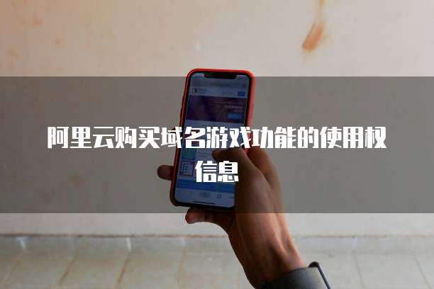 阿里云购买域名游戏功能的使用权信息