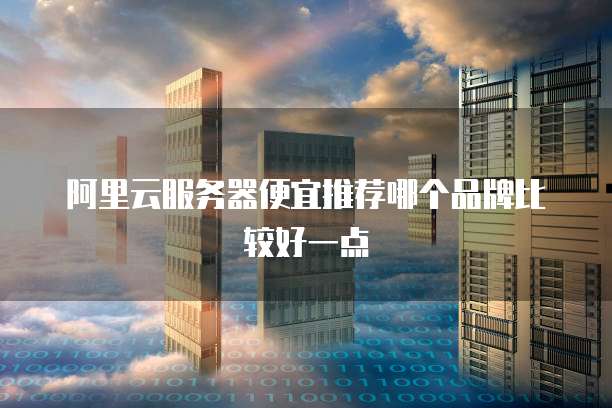 阿里云服务器便宜推荐哪个品牌比较好一点