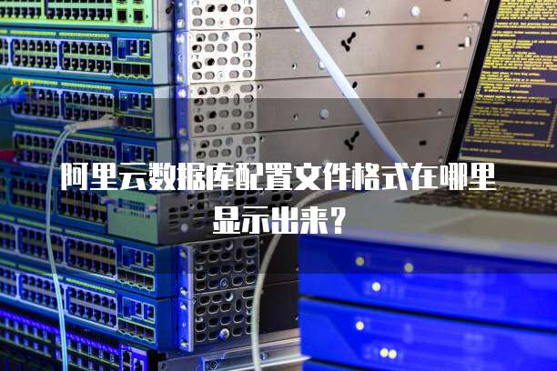 阿里云数据库配置文件格式在哪里显示出来?